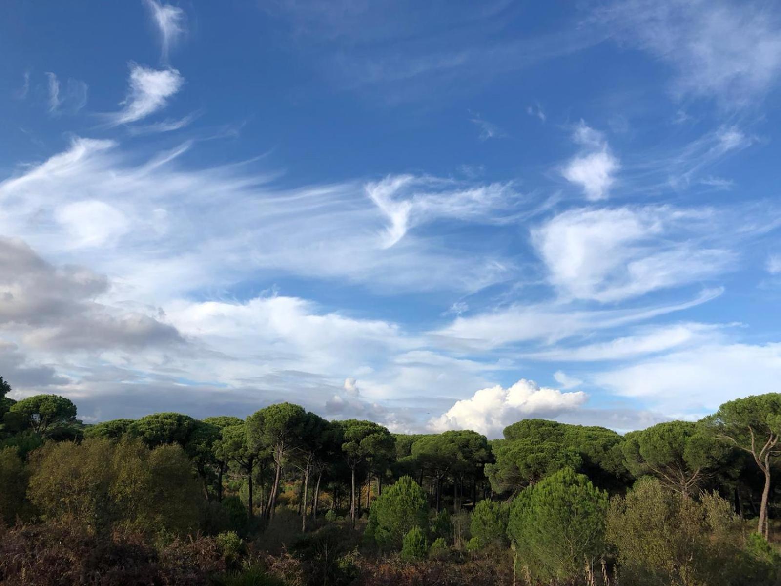 Seaside Paradise Mazagón Εξωτερικό φωτογραφία